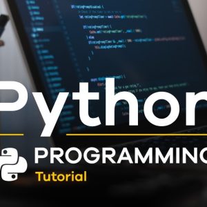 Python Programming for Beginners