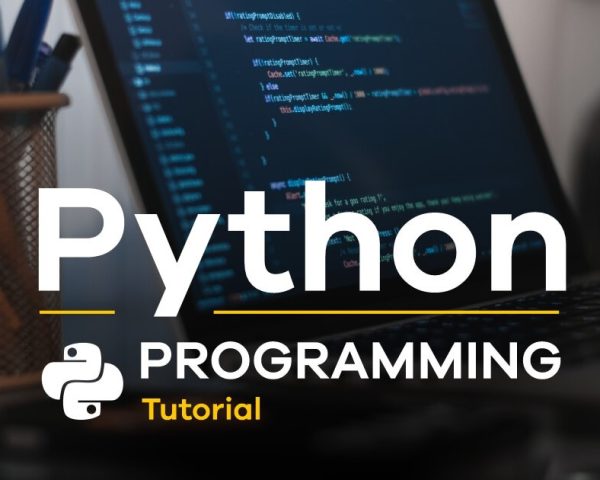 Python Programming for Beginners